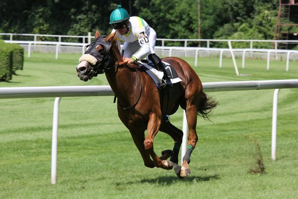 Quels sont les exercices de renforcement pour les jockeys de course hippique?